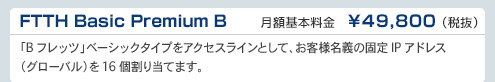 FTTH Basic Premium B　DTI月額基本料金　¥49,800（税抜）