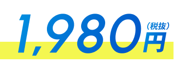 1,980円(税抜)