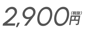 2,900円(税抜)