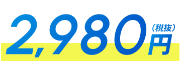 2,980円(税抜)