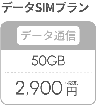 データSIMプラン(データ通信)50GB 2,900円(税抜)