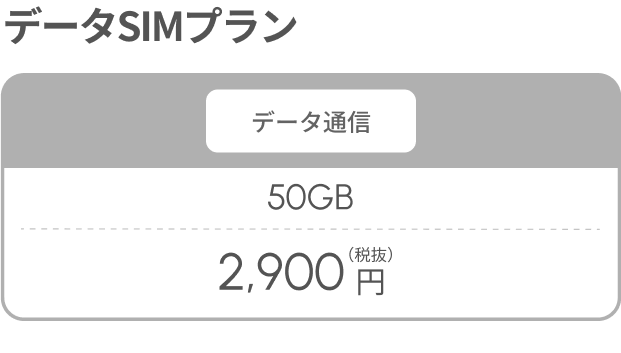 データSIMプラン(データ通信)50GB 2,900円(税抜)